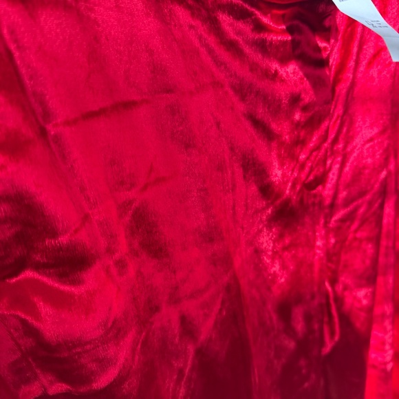 NWT's J Crew Carolina Pant in drapes red velvet trouser - size 18 - Picture 4 of 6